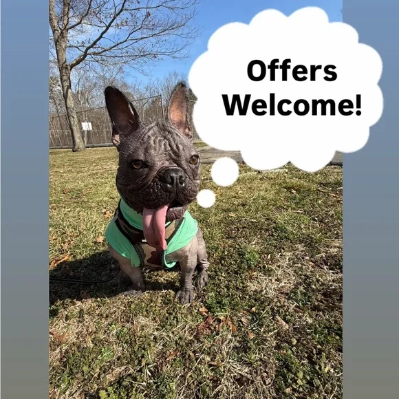 Koolaburra Leopard by UGG cheetah Print Flats - Picture 11 of 11